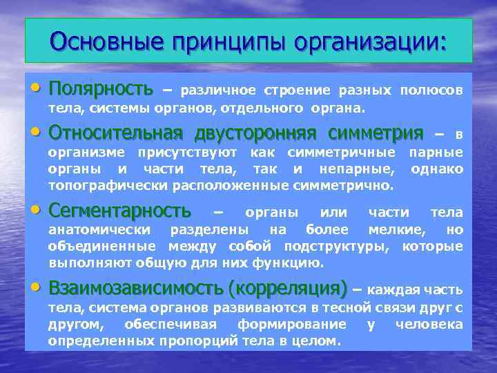 Основные принципы организации: • Полярность – различное строение разных полюсов тела, системы органов, отдельного