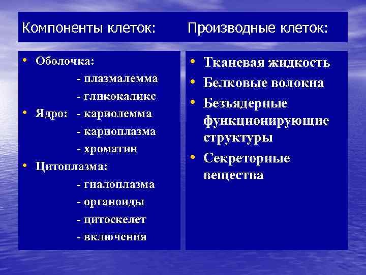 Компоненты клеток: Производные клеток: • Оболочка: • Тканевая жидкость • Белковые волокна • Безъядерные