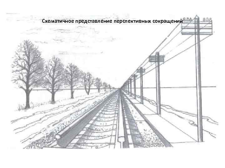 Схематичное представление перспективных сокращений 