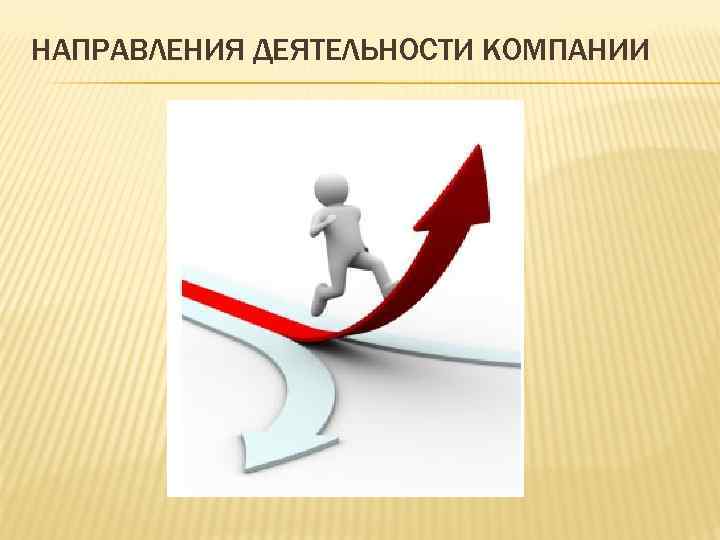 НАПРАВЛЕНИЯ ДЕЯТЕЛЬНОСТИ КОМПАНИИ 