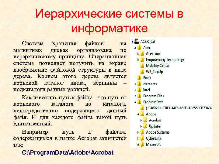 Иерархические системы в информатике Система хранения файлов на магнитных дисках организована по иерархическому принципу.