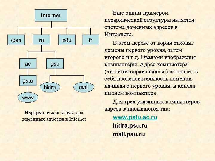 Internet com ru ac edu fr psu pstu hidra mail www Иерархическая структура доменных