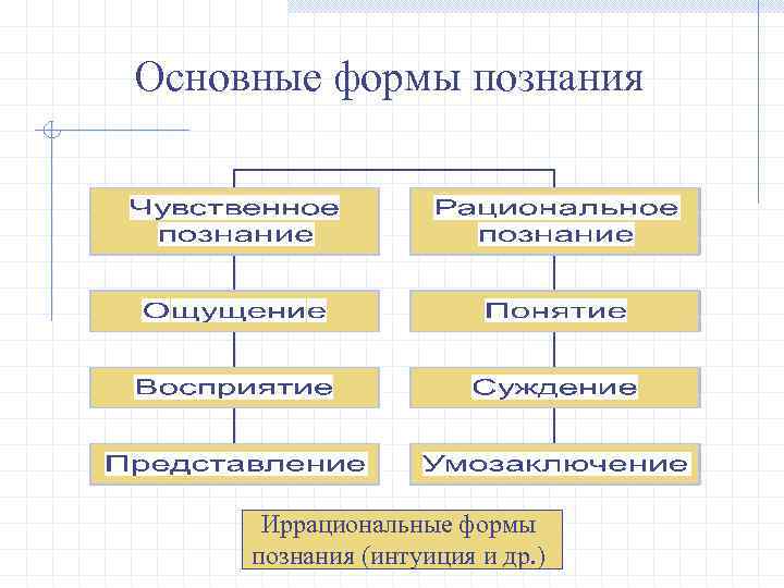 Основные формы познания Иррациональные формы познания (интуиция и др. ) 