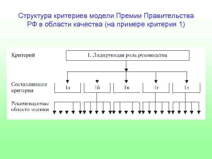 Структура критериев модели Премии Правительства РФ в области качества (на примере критерия 1) 