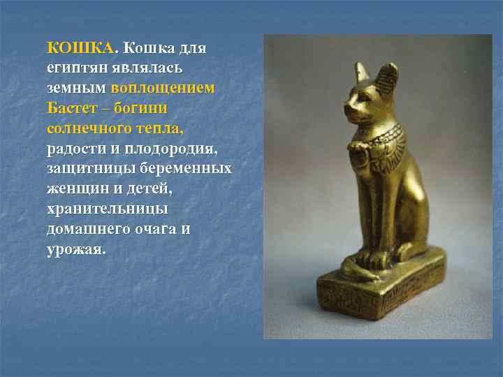 КОШКА. Кошка для египтян являлась земным воплощением Бастет – богини солнечного тепла, радости и