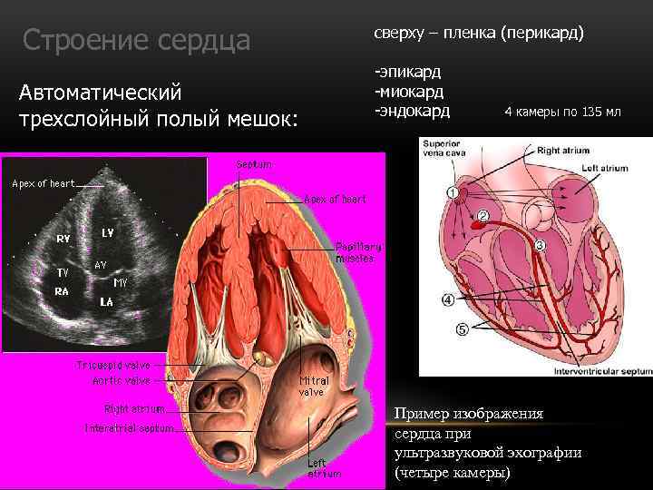 Эпикард топливная карта