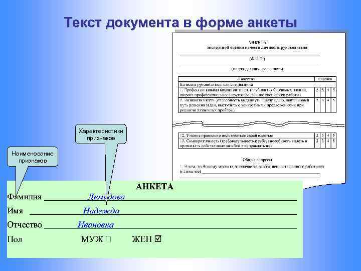 Форма образец. Анкетная форма документа. Наименование формы документа. Оформление документов в анкетной форме. Документ в форме анкеты.