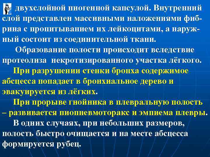  двухслойной пиогенной капсулой. Внутренний слой представлен массивными наложениями фибрина с пропитыванием их лейкоцитами,