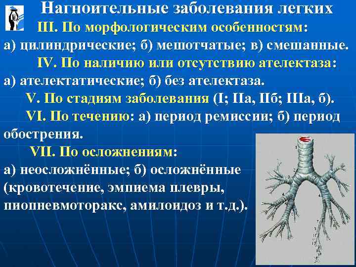  Нагноительные заболевания легких III. По морфологическим особенностям: а) цилиндрические; б) мешотчатые; в) смешанные.