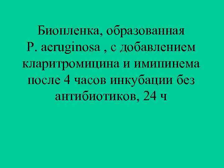 Биопленка, образованная P. aeruginosa , с добавлением кларитромицина и имипинема после 4 часов инкубации