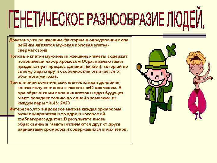 Доказано, что решающим фактором в определении пола ребёнка является мужская половая клеткасперматозоид. Половые клетки