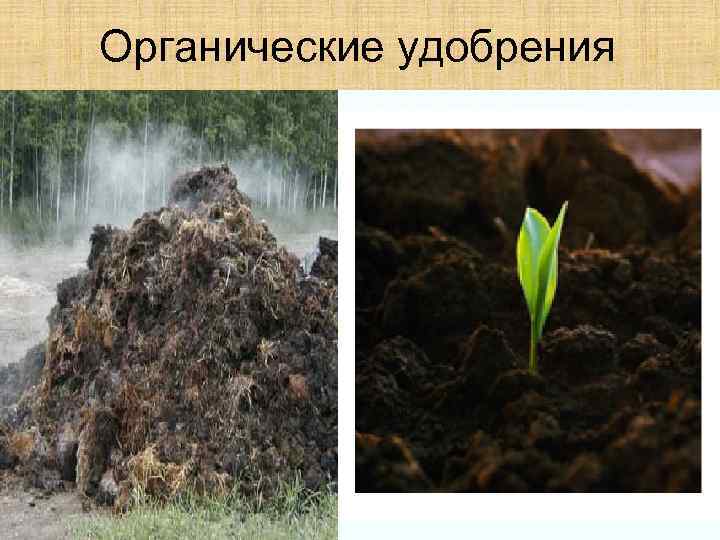 Органические удобрения 