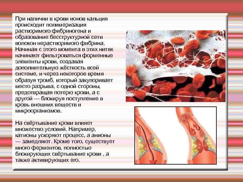 При наличии в крови ионов кальция происходит полимеризация растворимого фибриногена и образование бесструктурной сети