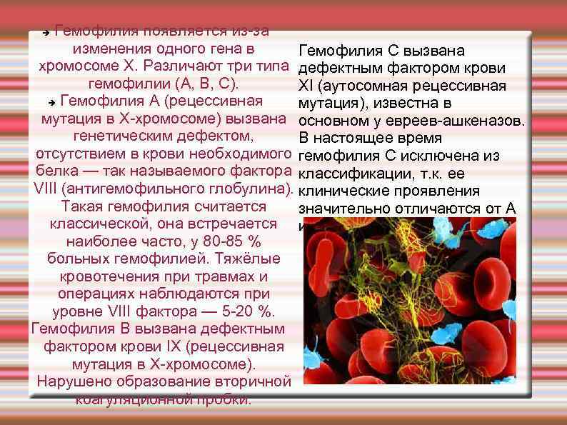 Гемофилия появляется из-за изменения одного гена в Гемофилия С вызвана хромосоме X. Различают три