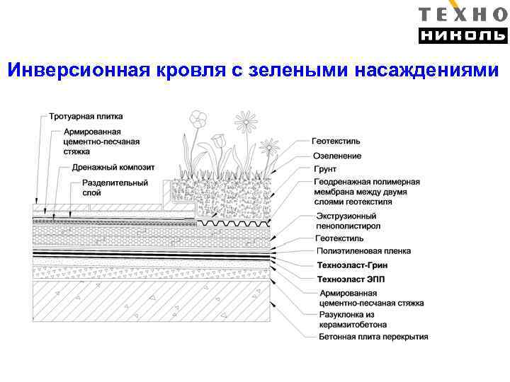 Схема эксплуатируемой кровли