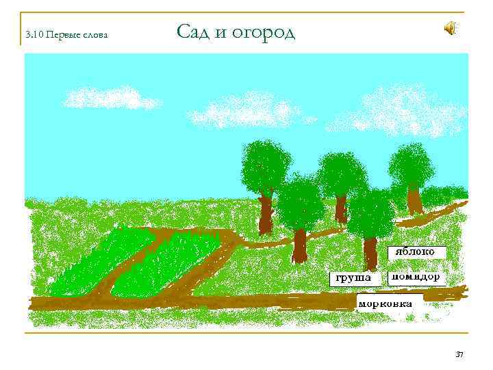 Слова со словом сад. Картинки к слову сад. Слова к слову сад. Картинки из слова огород. Картина с слову сад.