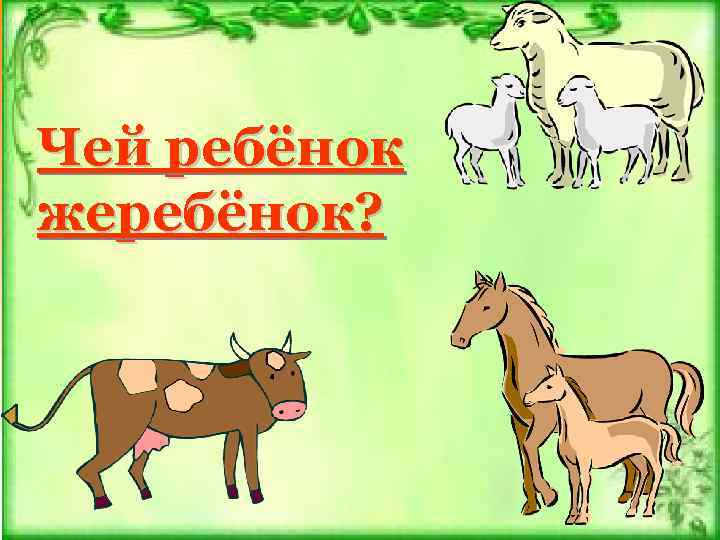 Чей ребёнок жеребёнок? 