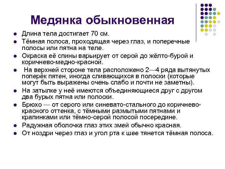 Медянка обыкновенная l l l l Длина тела достигает 70 см. Тёмная полоса, проходящая