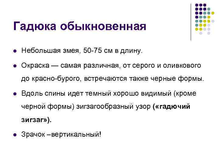 Гадюка обыкновенная l Небольшая змея, 50 -75 см в длину. l Окраска — самая
