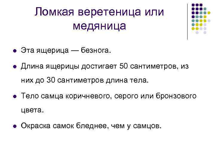 Ломкая веретеница или медяница l Эта ящерица — безнога. l Длина ящерицы достигает 50