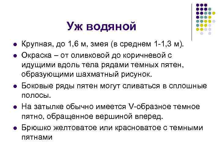 Уж водяной l l l Крупная, до 1, 6 м, змея (в среднем 1