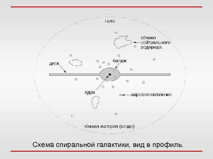 Схема спиральной галактики, вид в профиль. 