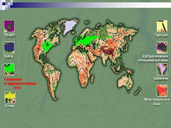 Природные зоны мира 7 класс география презентация