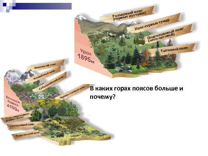 В каких горах поясов больше и почему? 