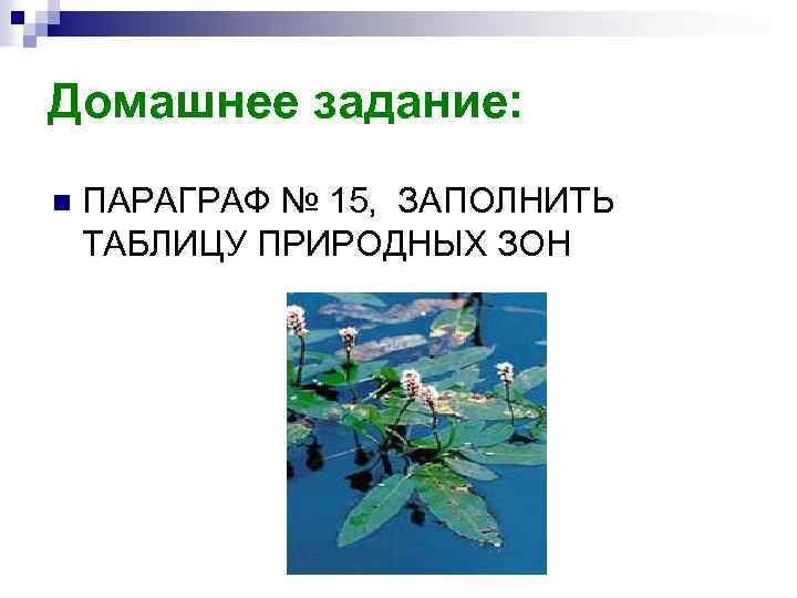 Домашнее задание: n ПАРАГРАФ № 15, ЗАПОЛНИТЬ ТАБЛИЦУ ПРИРОДНЫХ ЗОН 