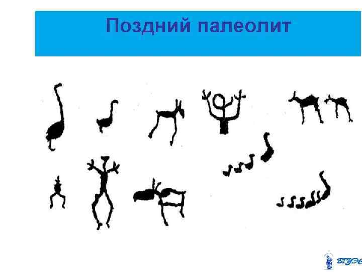 Поздний палеолит 