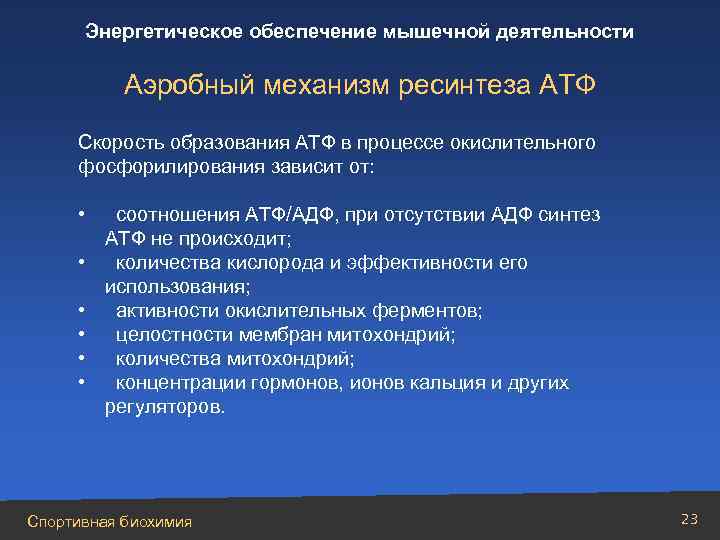 Энергетическое обеспечение мышечной деятельности Аэробный механизм ресинтеза АТФ Скорость образования АТФ в процессе окислительного