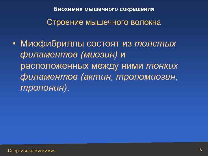 Биохимия мышечного сокращения Строение мышечного волокна • Миофибриллы состоят из толстых филаментов (миозин) и