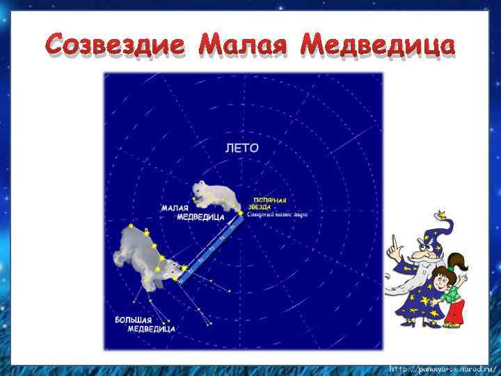 Созвездие малой медведицы картинки