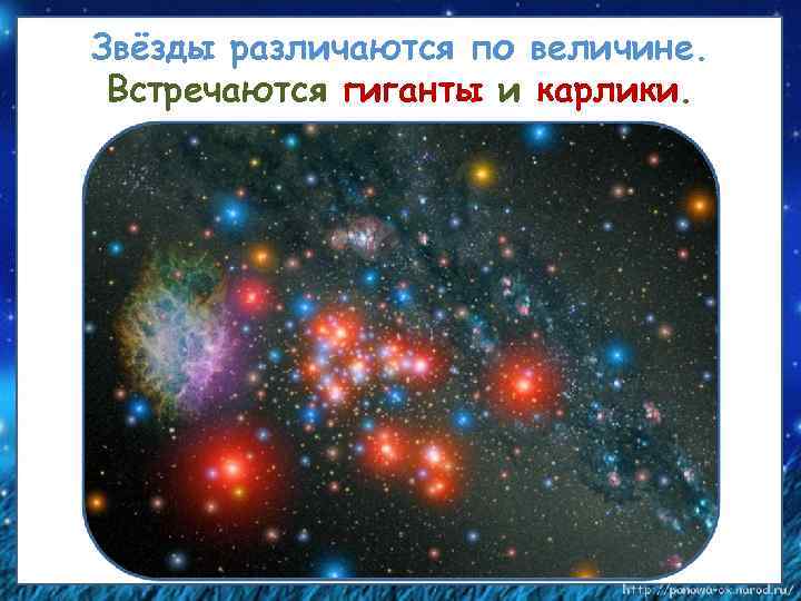Звёзды различаются по величине. Встречаются гиганты и карлики. красный карлик обычный желтый карлик типа