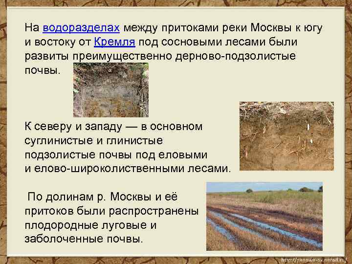 На водоразделах между притоками реки Москвы к югу и востоку от Кремля под сосновыми