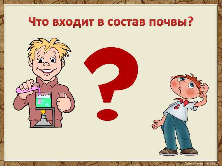 Что входит в состав почвы? 