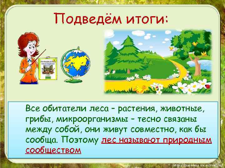 Подведём итоги: Все обитатели леса – растения, животные, грибы, микроорганизмы – тесно связаны между