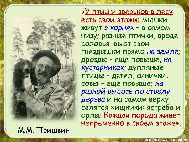 М. М. Пришвин «У птиц и зверьков в лесу есть свои этажи: мышки живут