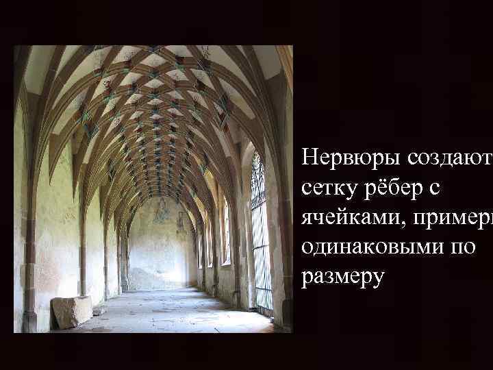 Нервюры создают сетку рёбер с ячейками, примерн одинаковыми по размеру 