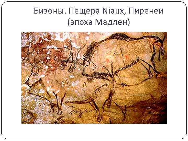 Бизоны. Пещера Niaux, Пиренеи (эпоха Мадлен) 