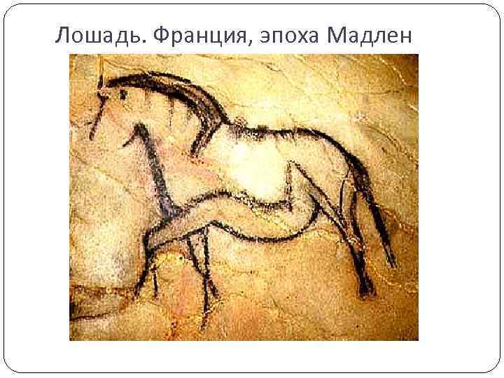 Лошадь. Франция, эпоха Мадлен 