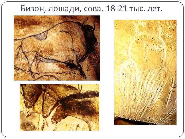 Бизон, лошади, сова. 18 -21 тыс. лет. 