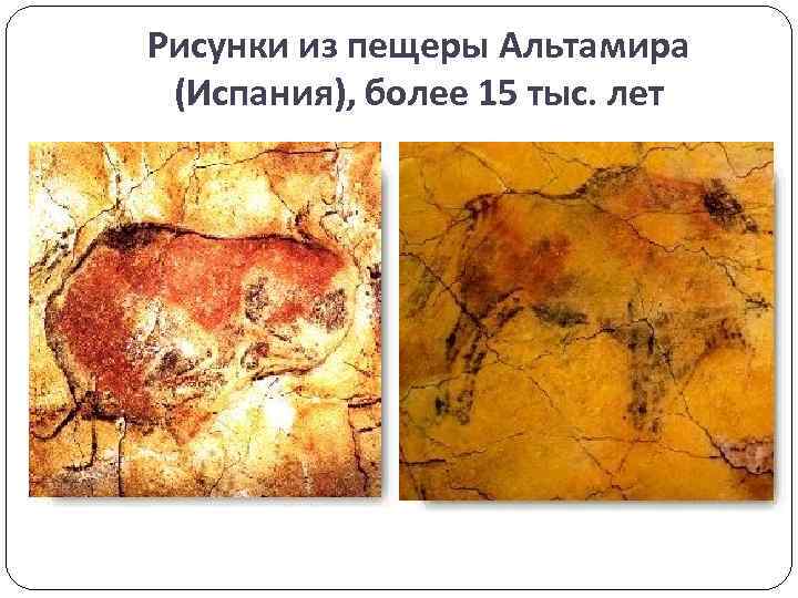 Рисунки из пещеры Альтамира (Испания), более 15 тыс. лет 