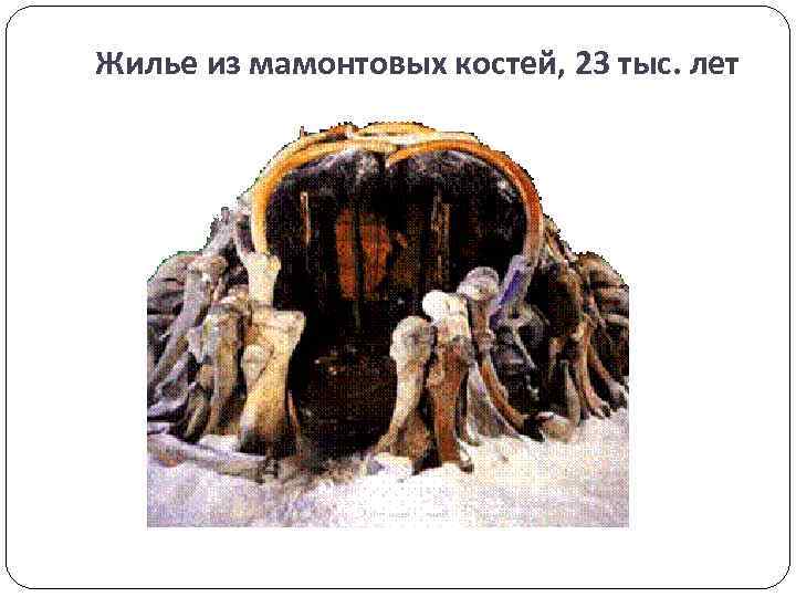 Жилье из мамонтовых костей, 23 тыс. лет 