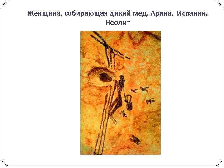 Женщина, собирающая дикий мед. Арана, Испания. Неолит 