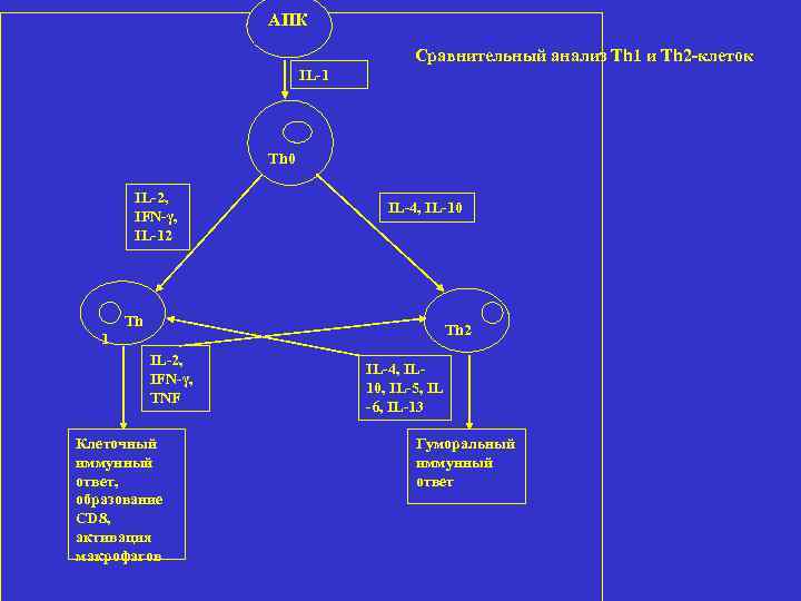 АПК Сравнительный анализ Th 1 и Тh 2 -клеток IL-1 Th 0 IL-2, IFN-γ,