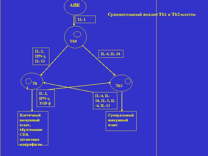 АПК Сравнительный анализ Th 1 и Тh 2 -клеток IL-1 Th 0 IL-2, IFN-γ,