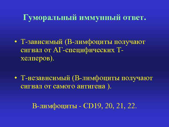 Гуморальный иммунный ответ. • Т-зависимый (В-лимфоциты получают сигнал от АГ-специфических Тхелперов). • Т-независимый (В-лимфоциты