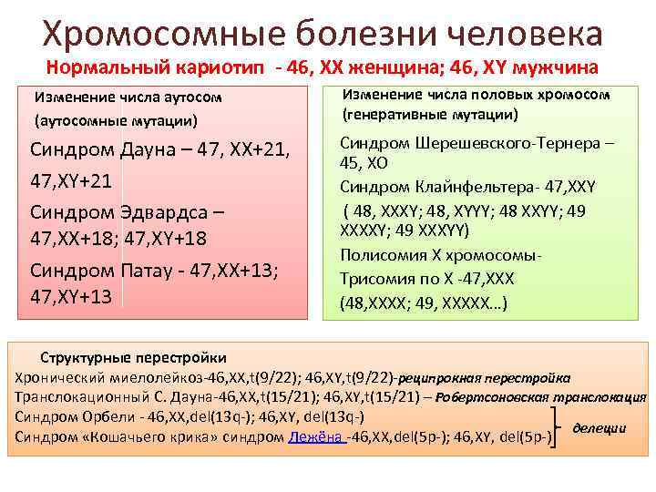 Хромосомные болезни человека Нормальный кариотип - 46, ХХ женщина; 46, ХY мужчина Изменение числа