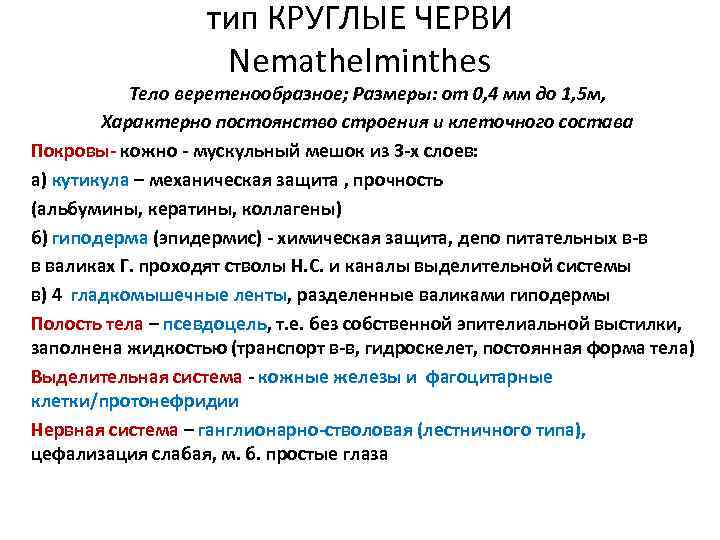 тип КРУГЛЫЕ ЧЕРВИ Nemathelminthes Тело веретенообразное; Размеры: от 0, 4 мм до 1, 5